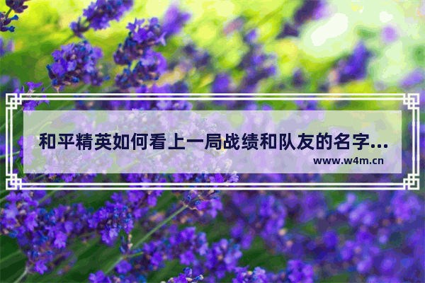 和平精英如何看上一局战绩和队友的名字 和平精英蹭分