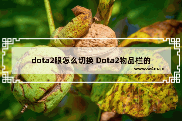 dota2眼怎么切换 Dota2物品栏的眼怎么切换