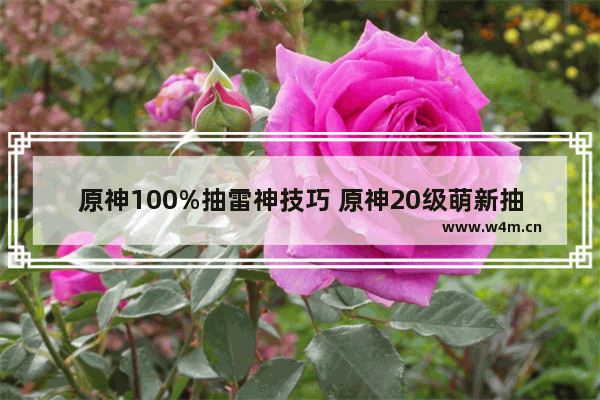 原神100%抽雷神技巧 原神20级萌新抽到雷神怎么玩