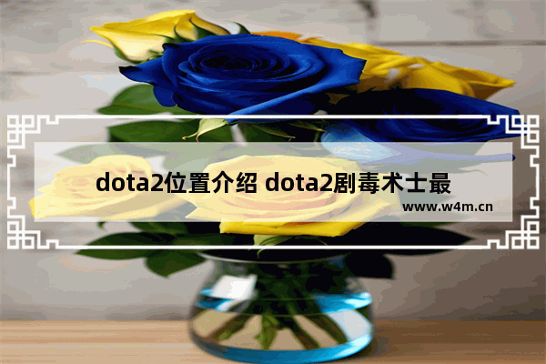 dota2位置介绍 dota2剧毒术士最强出装