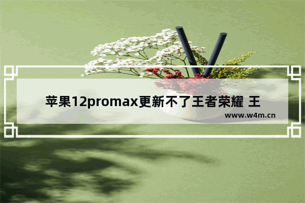 苹果12promax更新不了王者荣耀 王者荣耀安卓转到苹果手机要多长时间才会更新