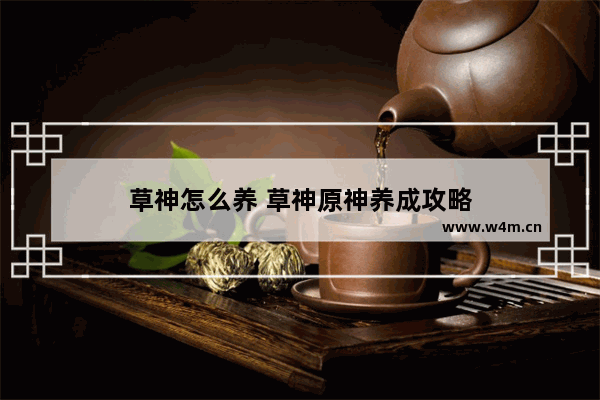 草神怎么养 草神原神养成攻略