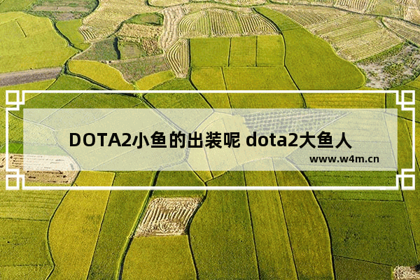 DOTA2小鱼的出装呢 dota2大鱼人出装顺序