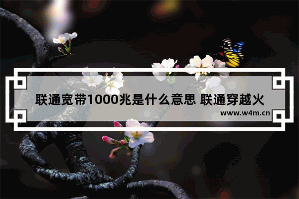 联通宽带1000兆是什么意思 联通穿越火线