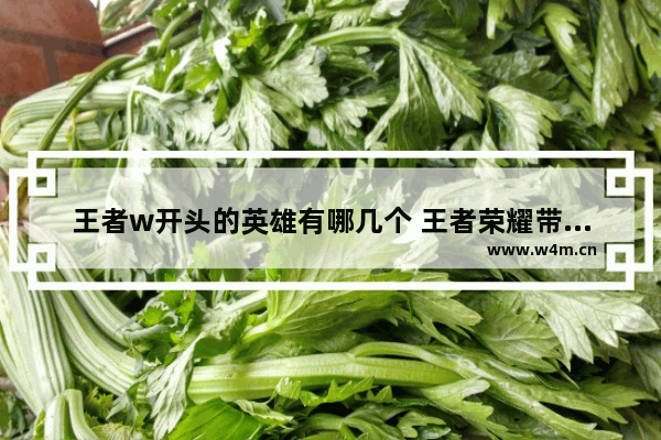 王者w开头的英雄有哪几个 王者荣耀带字母网名