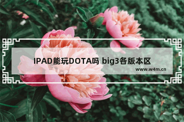 IPAD能玩DOTA吗 big3各版本区别