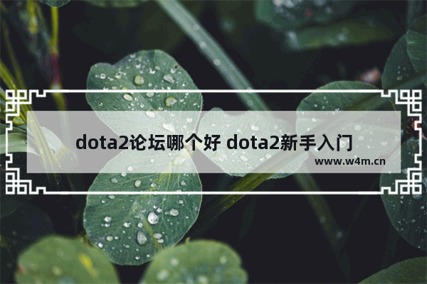 dota2论坛哪个好 dota2新手入门基础知识有什么