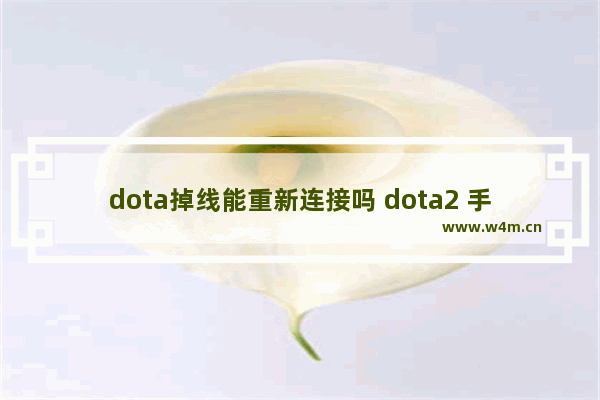 dota掉线能重新连接吗 dota2 手机热点总是断开连接