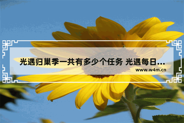 光遇归巢季一共有多少个任务 光遇每日任务雨林重温