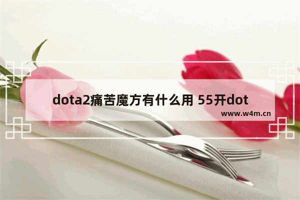 dota2痛苦魔方有什么用 55开dota2