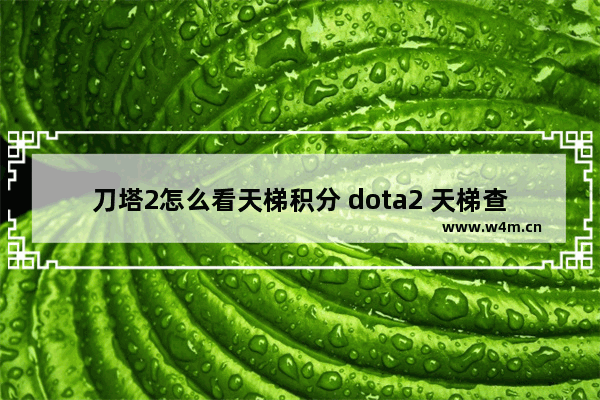 刀塔2怎么看天梯积分 dota2 天梯查询