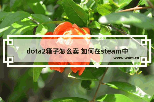 dota2箱子怎么卖 如何在steam中购买/卖出dota2物品