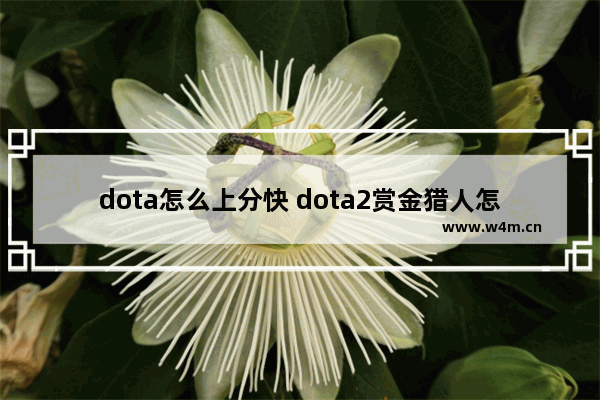 dota怎么上分快 dota2赏金猎人怎么快速上分