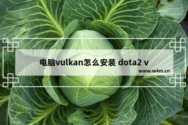 电脑vulkan怎么安装 dota2 vulkan