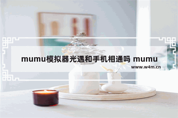 mumu模拟器光遇和手机相通吗 mumu模拟器怎么玩oppo渠道服光遇