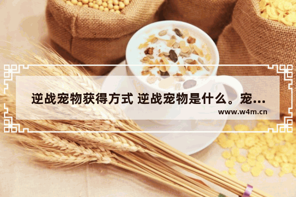 逆战宠物获得方式 逆战宠物是什么。宠物饕餮获取方法是什么