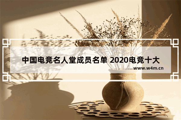 中国电竞名人堂成员名单 2020电竞十大风云人物