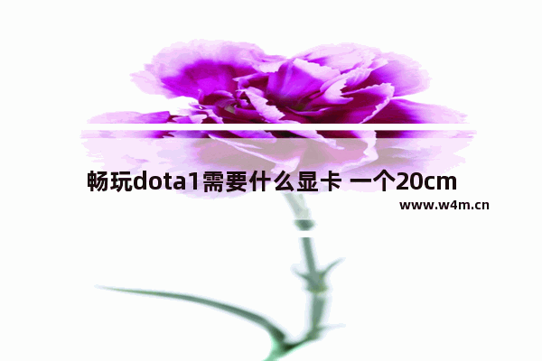 畅玩dota1需要什么显卡 一个20cm与两个12cm风扇哪个散热效果更好