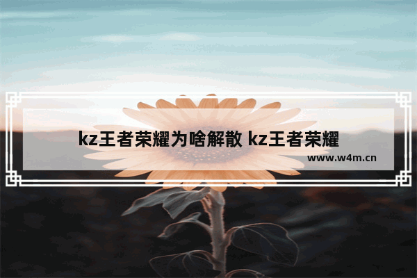 kz王者荣耀为啥解散 kz王者荣耀