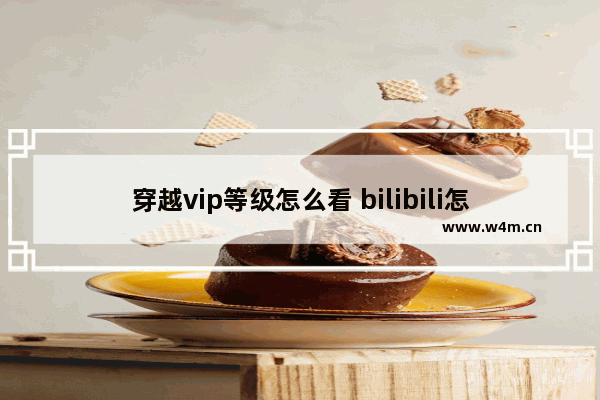 穿越vip等级怎么看 bilibili怎么看大会员等级