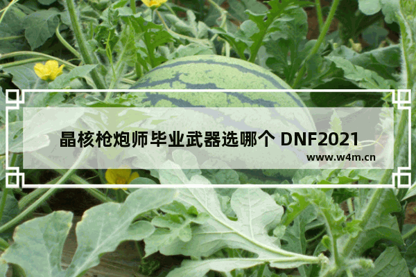 晶核枪炮师毕业武器选哪个 DNF2021男弹药SS装备选择怎样伤害最高