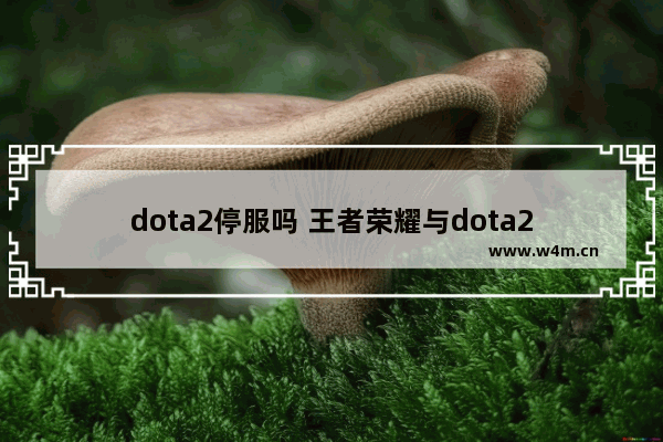 dota2停服吗 王者荣耀与dota2