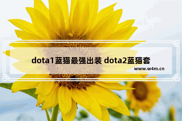 dota1蓝猫最强出装 dota2蓝猫套