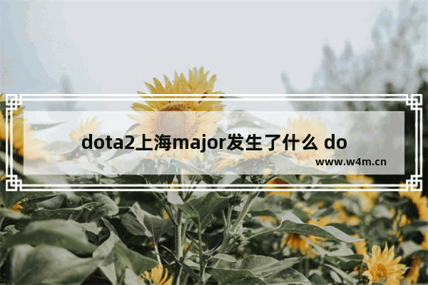 dota2上海major发生了什么 dota2major和ti哪个含金量高