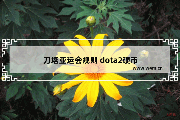 刀塔亚运会规则 dota2硬币