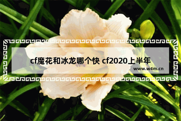 cf魔花和冰龙哪个快 cf2020上半年排位枪哪把好