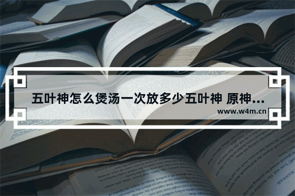 五叶神怎么煲汤一次放多少五叶神 原神草神材料攻略