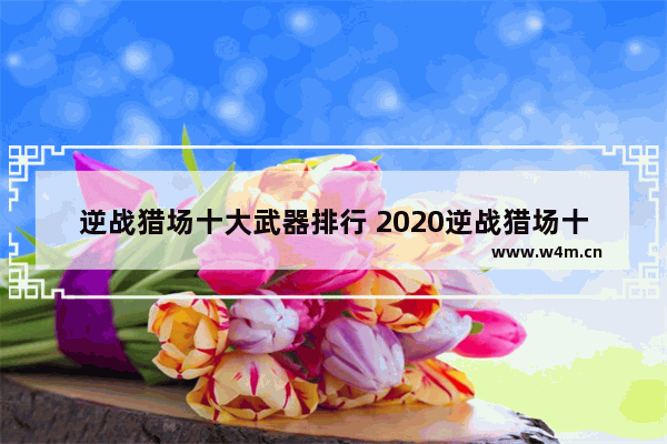 逆战猎场十大武器排行 2020逆战猎场十大武器排行