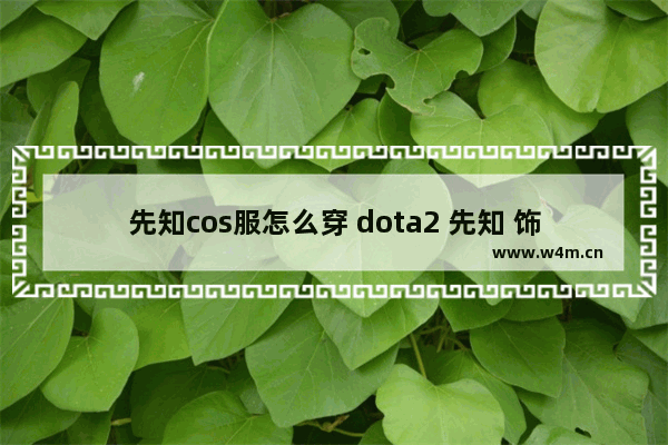 先知cos服怎么穿 dota2 先知 饰品