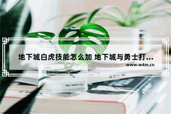 地下城白虎技能怎么加 地下城与勇士打野操作设置