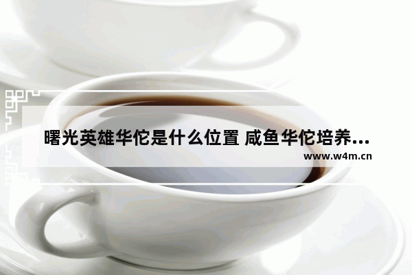 曙光英雄华佗是什么位置 咸鱼华佗培养攻略