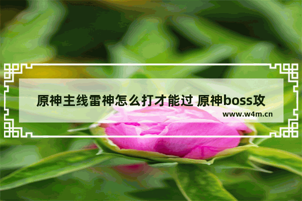 原神主线雷神怎么打才能过 原神boss攻略雷神