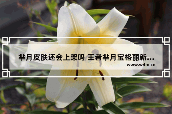 芈月皮肤还会上架吗 王者芈月宝格丽新皮肤怎么获得