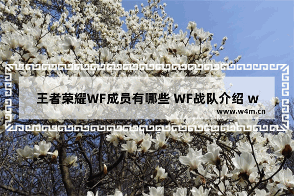 王者荣耀WF成员有哪些 WF战队介绍 wf王者荣耀