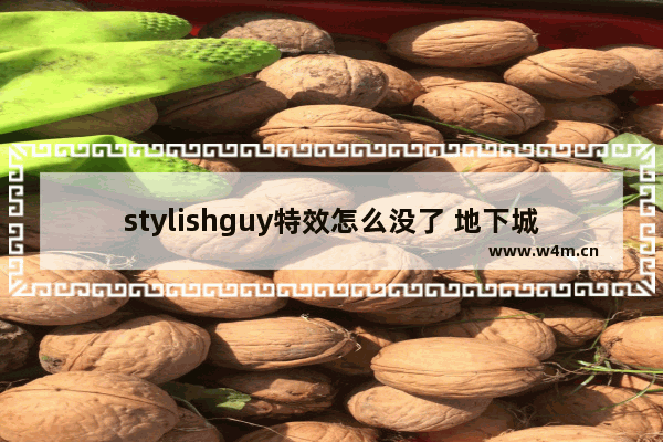 stylishguy特效怎么没了 地下城与勇士特效重置时间