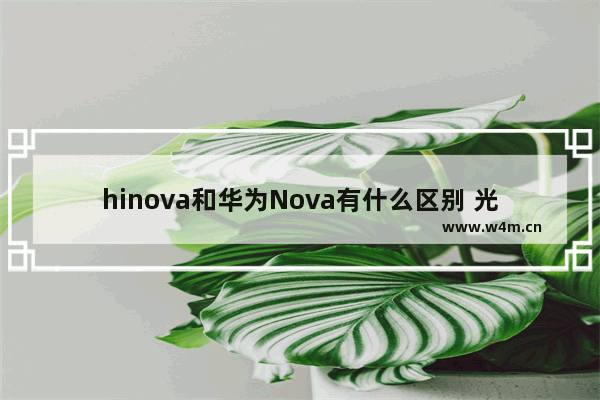 hinova和华为Nova有什么区别 光遇++动作复刻