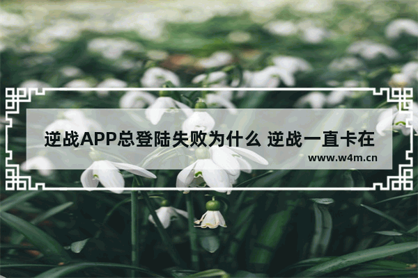 逆战APP总登陆失败为什么 逆战一直卡在登陆界面