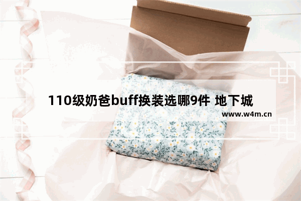 110级奶爸buff换装选哪9件 地下城与勇士最强换装辅助