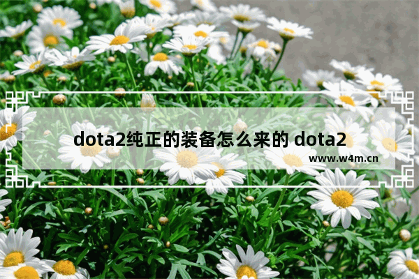 dota2纯正的装备怎么来的 dota2 代购