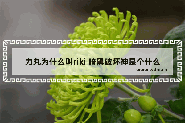 力丸为什么叫riki 暗黑破坏神是个什么游戏