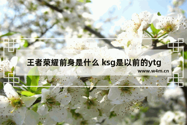 王者荣耀前身是什么 ksg是以前的ytg吗