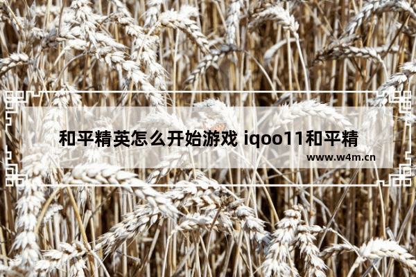 和平精英怎么开始游戏 iqoo11和平精英最佳游戏设置