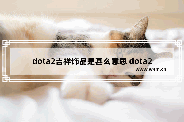 dota2吉祥饰品是甚么意思 dota2++法师都有哪些饰品