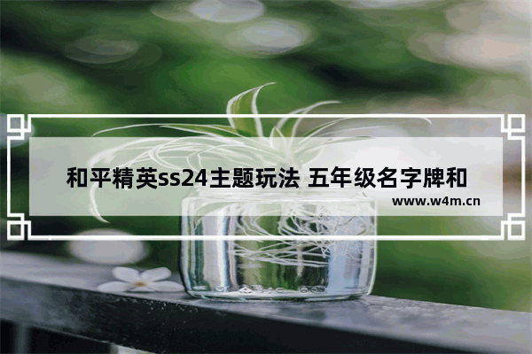 和平精英ss24主题玩法 五年级名字牌和平精英主题怎么做