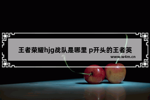 王者荣耀hjg战队是哪里 p开头的王者英雄