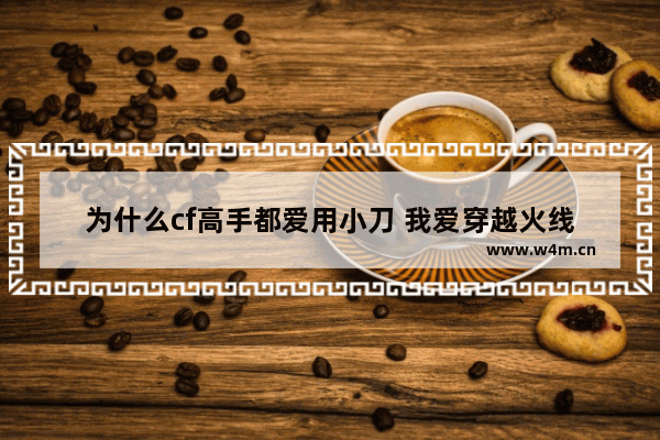 为什么cf高手都爱用小刀 我爱穿越火线